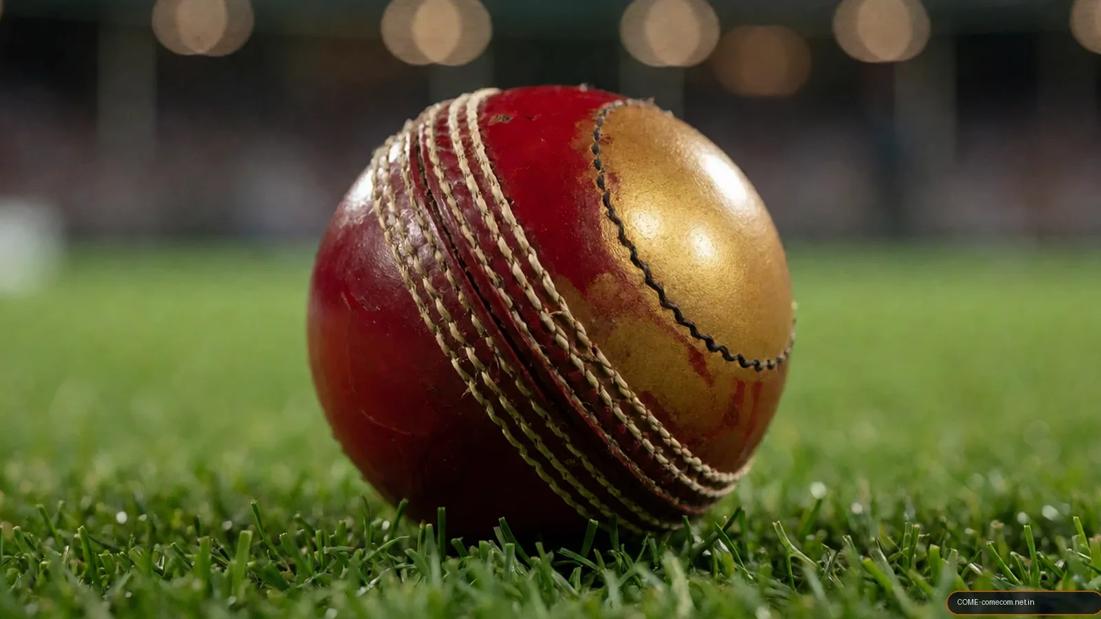 Come come com fantasy cricket stadium